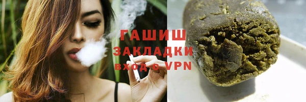 сатива Новозыбков