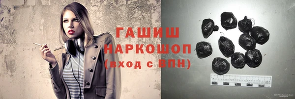 сатива Новозыбков