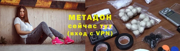 сатива Новозыбков