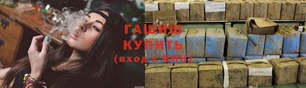 сатива Новозыбков
