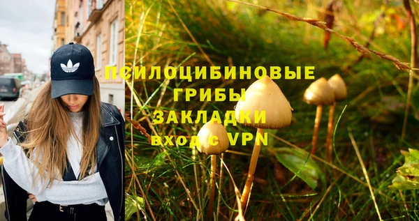 2c-b Саяногорск
