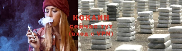 сатива Новозыбков