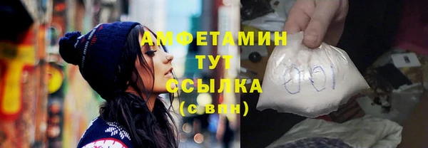 сатива Новозыбков