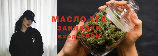 сатива Новозыбков
