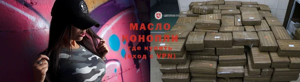 сатива Новозыбков