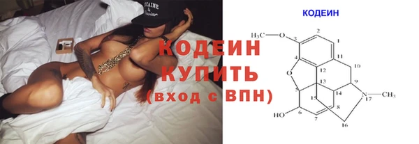 крисы Ростов