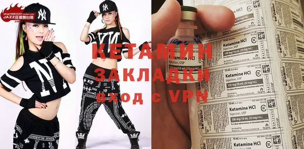сатива Новозыбков