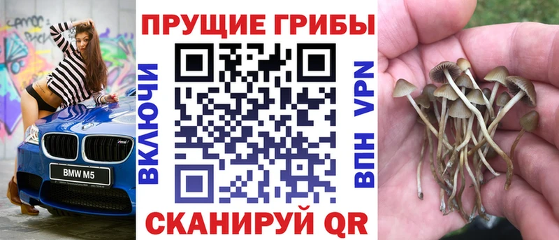 Галлюциногенные грибы прущие грибы  кракен tor  Уржум 